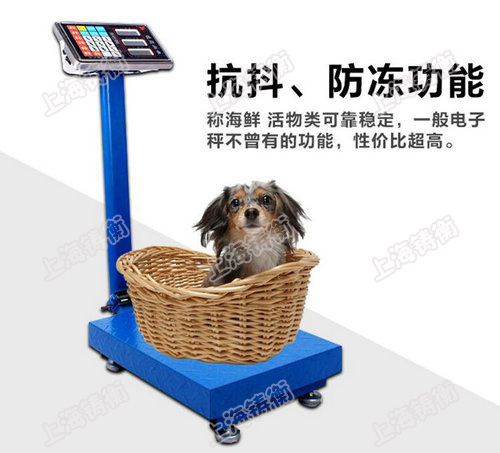 50����Ӌ(j��)������_(t��i)�� ���P��_(t��i)�Q