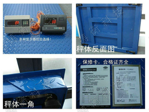 標(biāo)準(zhǔn)地秤