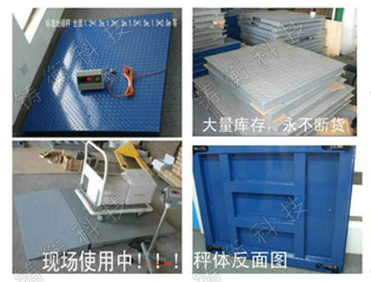 標(biāo)準(zhǔn)地秤