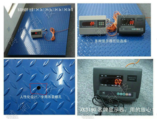 標(biāo)準(zhǔn)地秤