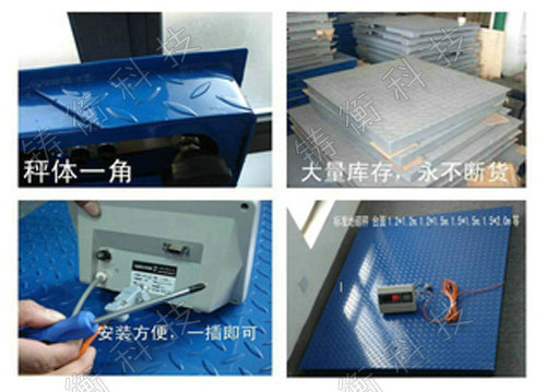 標(biāo)準(zhǔn)地秤