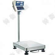 300kg����_�ӽ�B